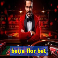 beija flor bet